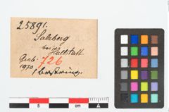 Etikett zu Bernsteinringperle (NHMW-PRAE-025891)